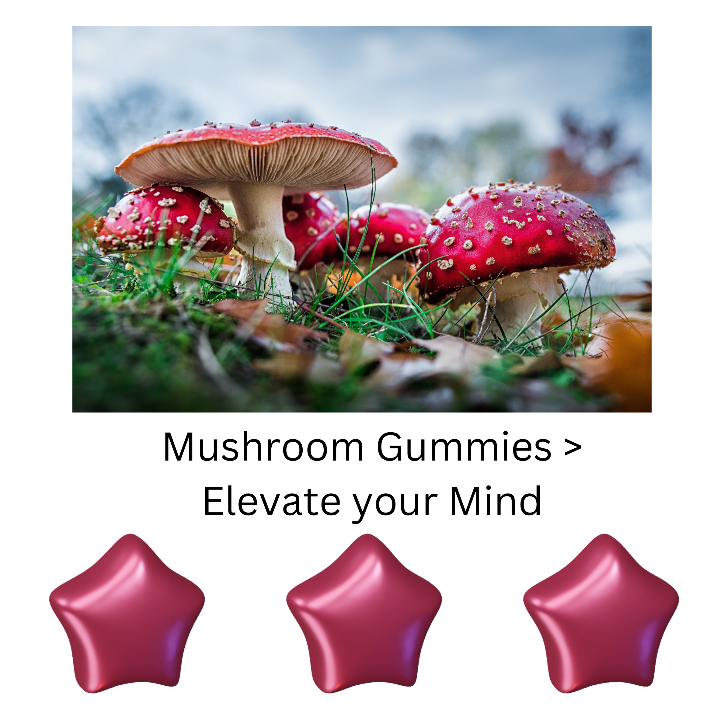 Amanita Muscaria: A Different Path to Altered Consciousness