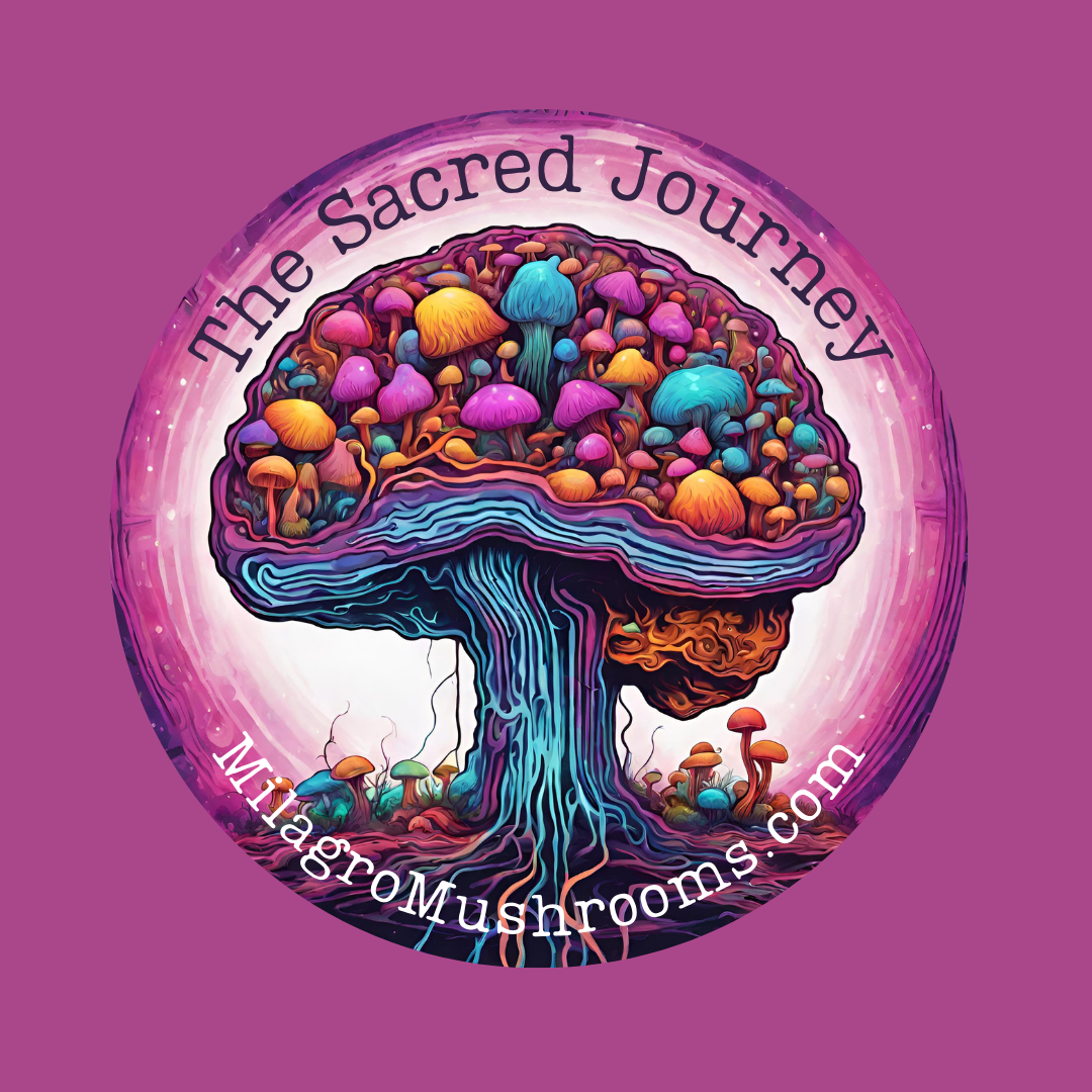 The Value of Sticking to a Microdosing Schedule: Enhancing Mental Health and Well-Being