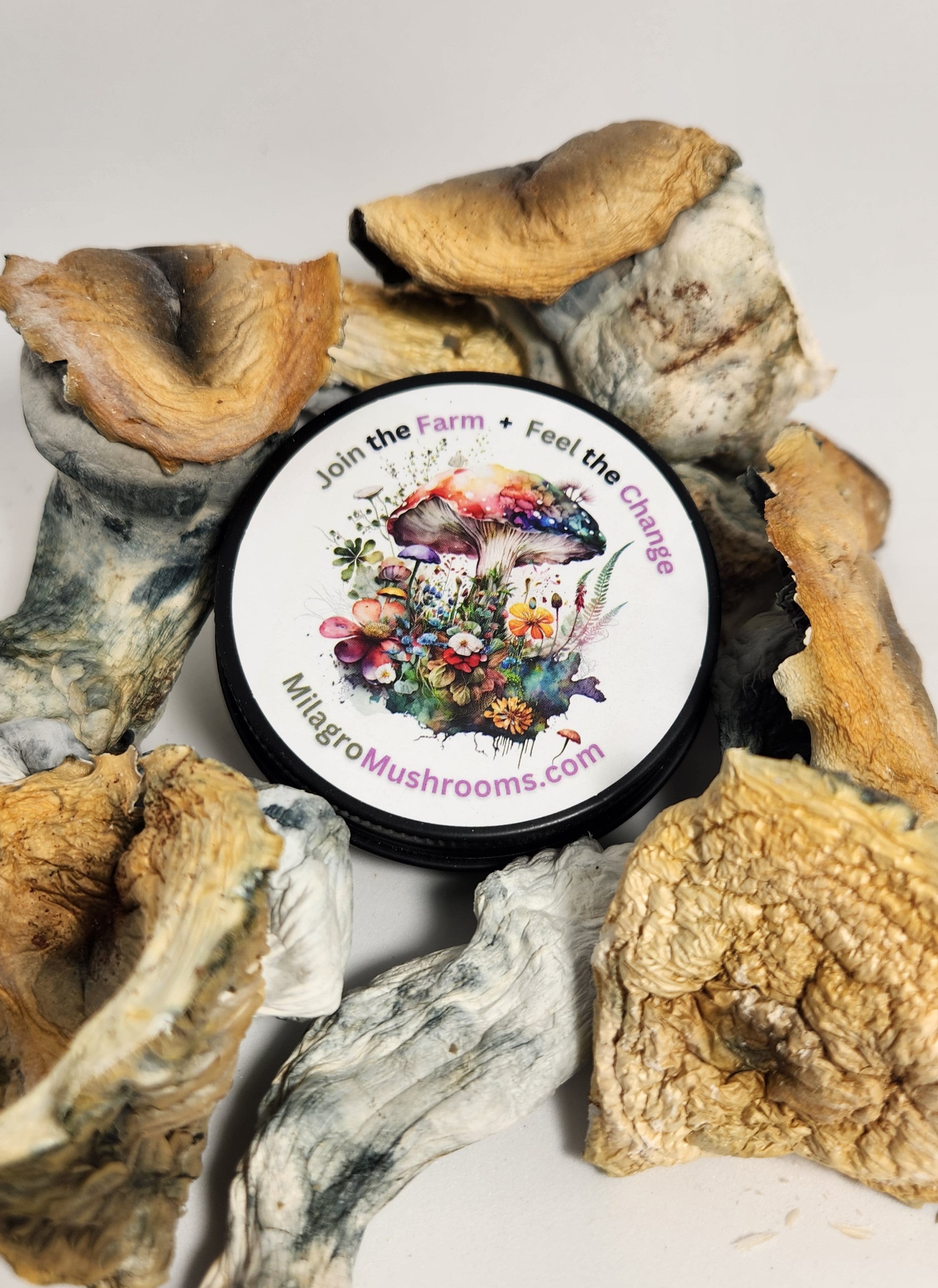 Microdosing Psilocybin: Low, Moderate & Hero Dose Guide