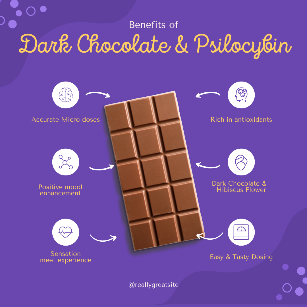 Milagro Bar - Wild Orange in Dark Chocolate