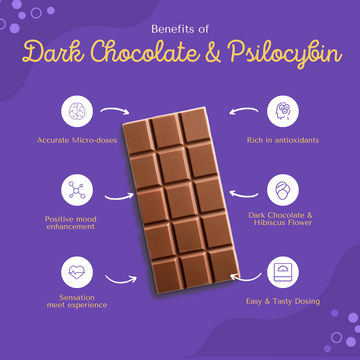 Benefits of Chocolate & Psilocybin: Indulge Your Senses with Magic Mushroom Chocolates