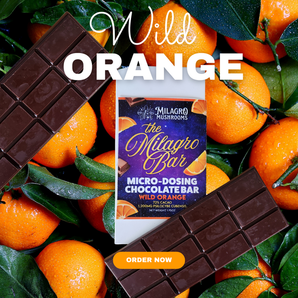 Milagro Bar - Wild Orange in Dark Chocolate