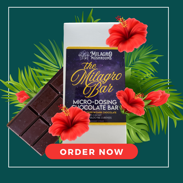 Milagro Bar - Hibiscus Flower in Dark Chocolate