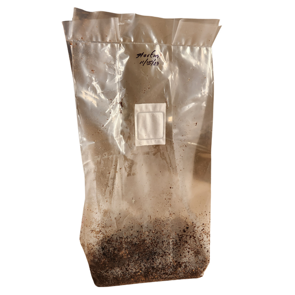 Milagro Ready-to-Gro Bags - Fully Colonized Grow Bags