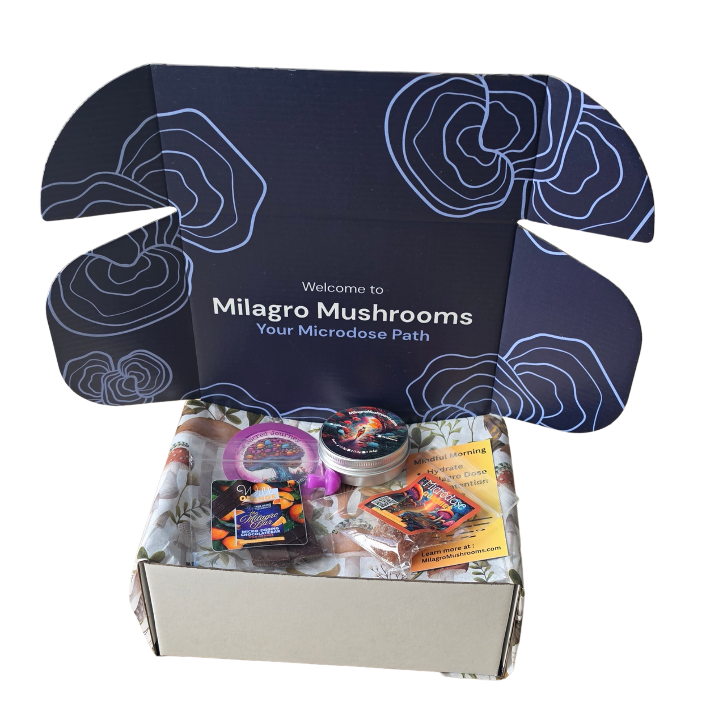 Discovery Sample Pack