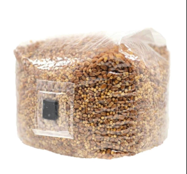 Sterilized Grain Bags (Spawn Bags)