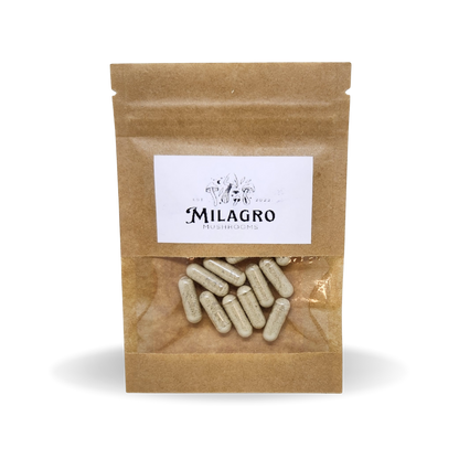 Monthly - Milagro Mushroom Subscription (1 per month)