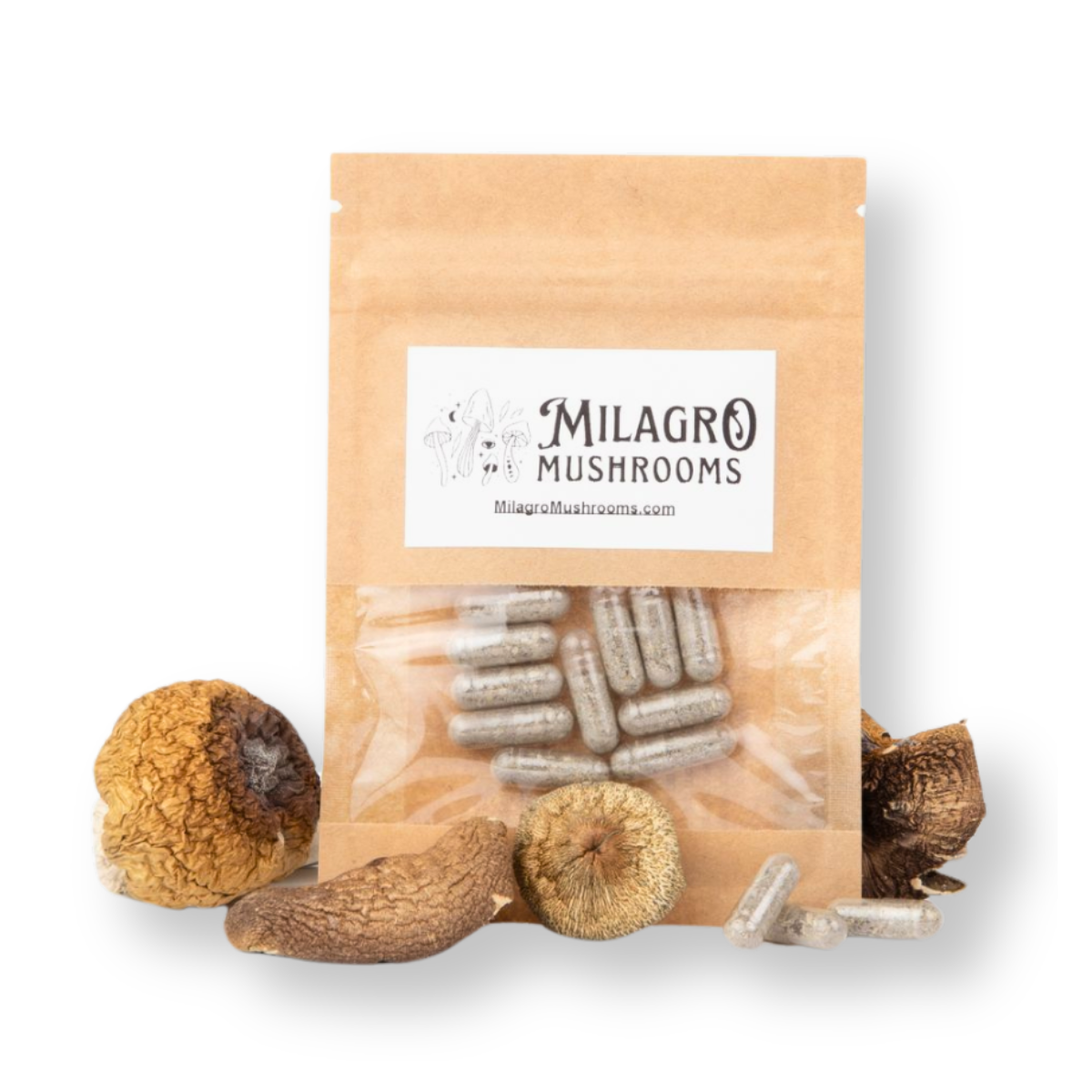 Monthly - Milagro Mushroom Subscription (1 per month)