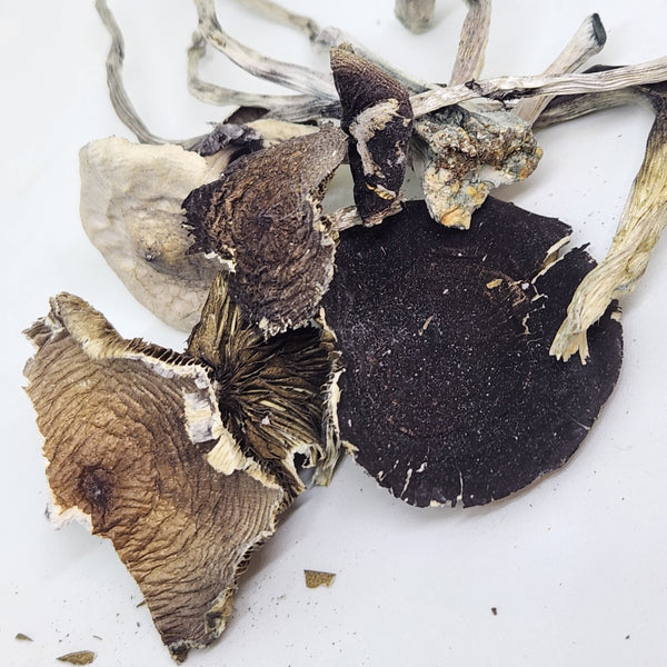 Milagro Mushroom Subscription